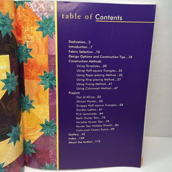 Hunter Star Quilts & Beyond Jan Krentz Techniques Projects Infinite Possibilitie - Picture 4 of 13